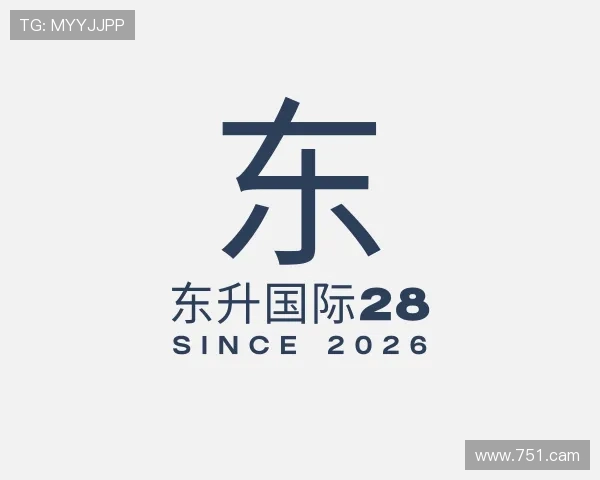 介绍东升国际28